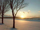 Winter Landscape with Tree Wall Decal