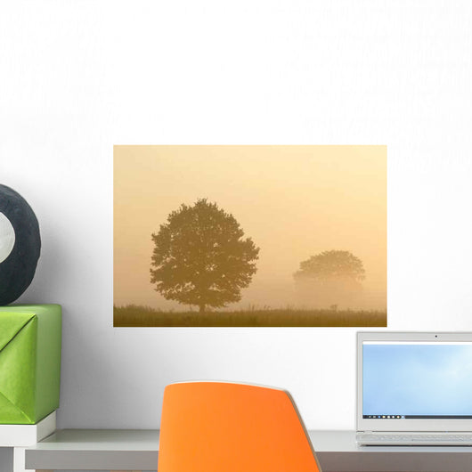 Silhouette Tree Misty Field Wall Decal Design 2