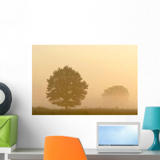 Silhouette Tree Misty Field Wall Mural