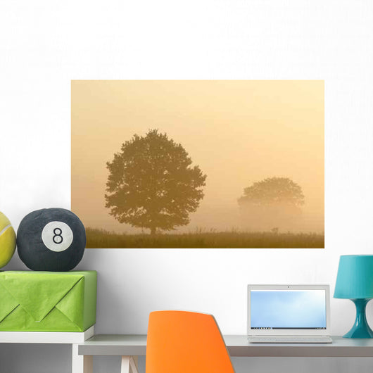 Silhouette Tree Misty Field Wall Mural