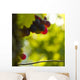 Vignoble 3 Wall Decal