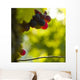 Vignoble 3 Wall Decal
