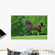 Stechtrab Wall Mural