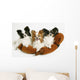 Three Dogs Wall Mural
