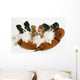 Three Dogs Wall Mural
