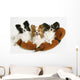 Three Dogs Wall Mural