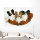 Three Dogs Wall Mural