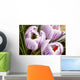 Bee On Crocus Wall Mural