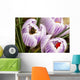Bee On Crocus Wall Mural