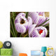 Bee On Crocus Wall Mural