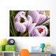 Bee On Crocus Wall Mural