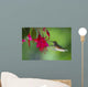 Hummingbird Wall Mural