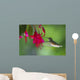 Hummingbird Wall Mural