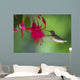 Hummingbird Wall Mural