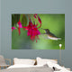 Hummingbird Wall Mural