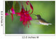 Hummingbird Wall Mural
