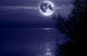 Blue Moon Wall Decal