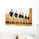 A Dance Class Wall Mural