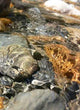 Water Rocks 2 Wall Decal