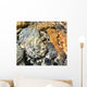 Water Rocks Wall Decal Design 2
