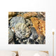 Water Rocks Wall Mural