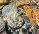 Water Rocks Wall Mural