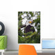 A Bald Eagle Wall Mural