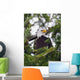 A Bald Eagle Wall Mural