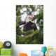 A Bald Eagle Wall Mural