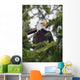 A Bald Eagle Wall Mural