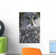 An Owl Wall Mural