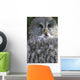An Owl Wall Mural