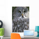 An Owl Wall Mural
