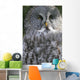 An Owl Wall Mural