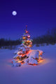 Christmas Tree Glowing Wall Mural