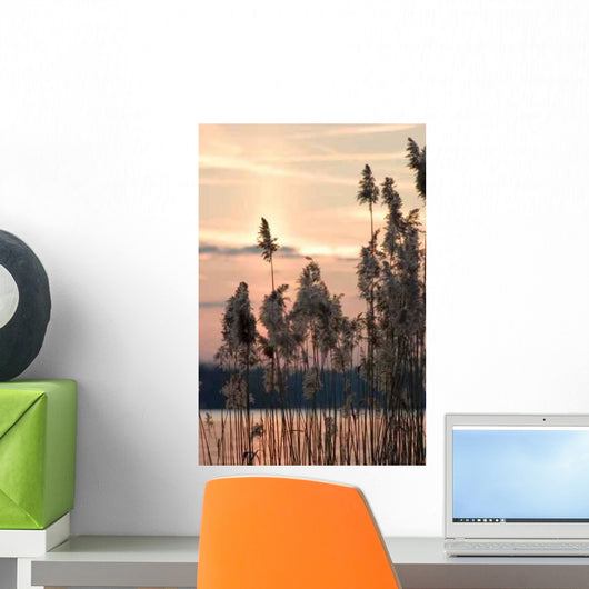 Evening Lake Wall Decal Design 2