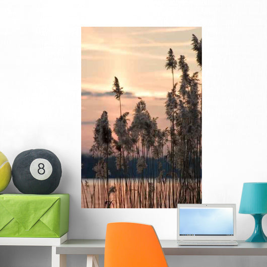 Evening Lake 09 Wall Mural