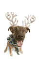 Dog With Antlers Wall Decal