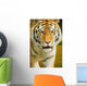 A Tiger Wall Mural