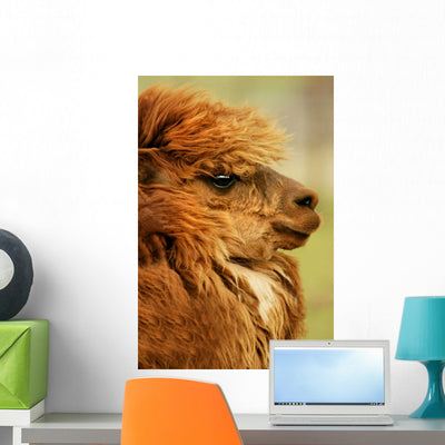 Profile Camelid Wall Mural shown on a wall