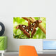 A Moth Wall Mural