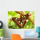 A Moth Wall Mural