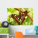 A Moth Wall Mural