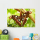 A Moth Wall Mural