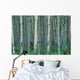 A Forest Of Trees Wall Mural