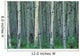 A Forest Of Trees Wall Mural