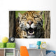 Closeup Of A Leopard Wall Mural