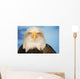Portrait Of A Bald Eagle Wall Mural
