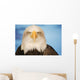 Portrait Of A Bald Eagle Wall Mural