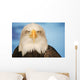 Portrait Of A Bald Eagle Wall Mural
